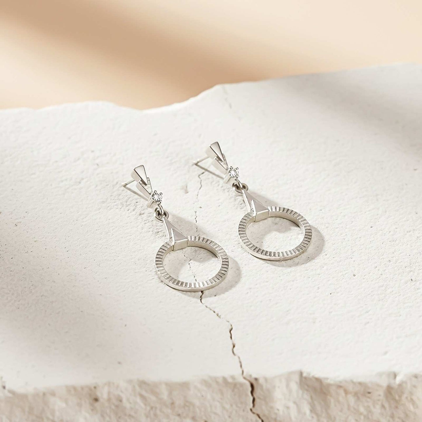 Silver Shiny Circle Drop Earrings