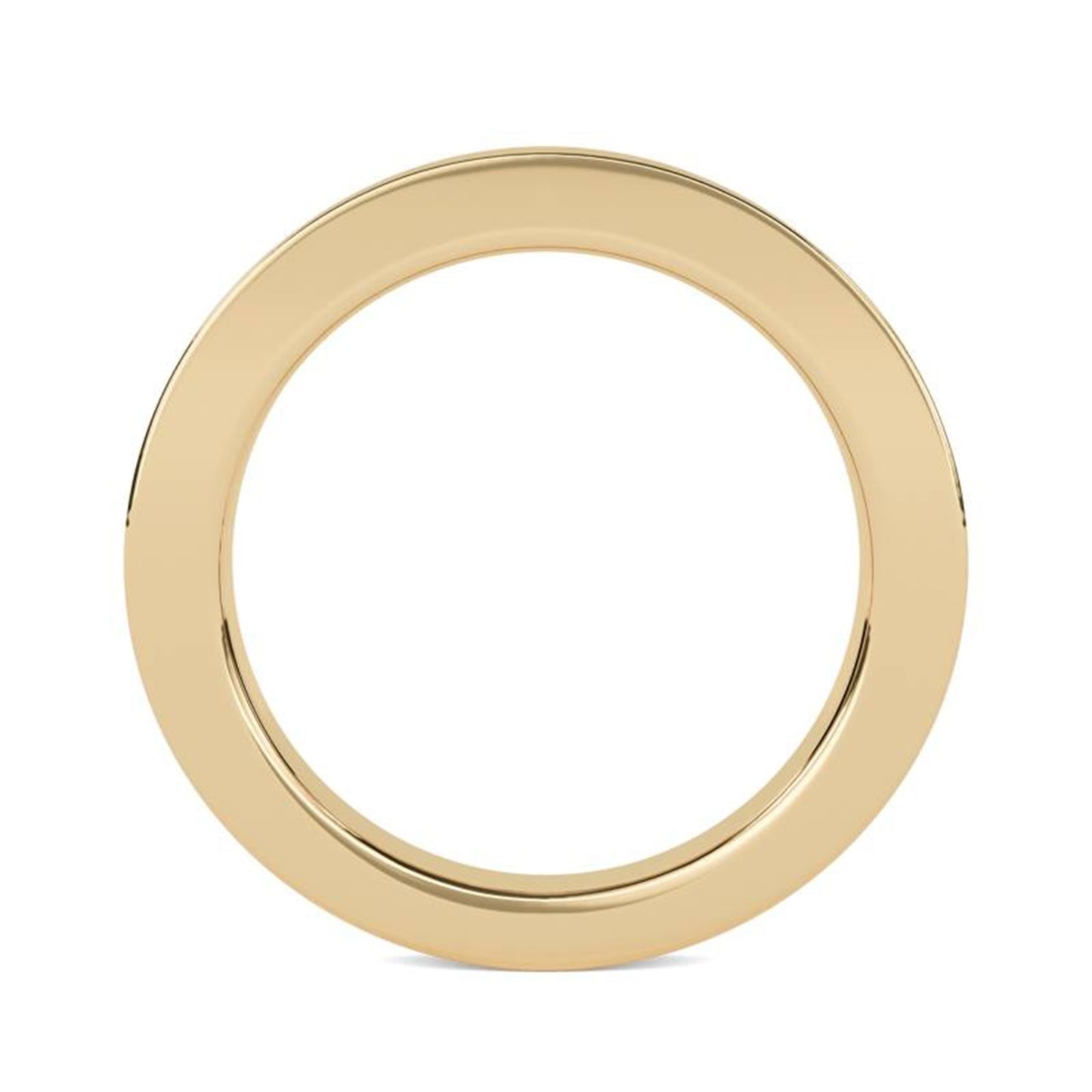 0.75Ctw Princess Moissanite Admiring Men's Band